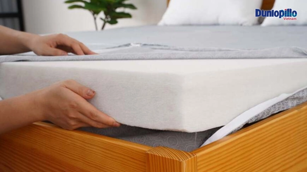 người dùng chọn nệm foam hay nệm bông ép
