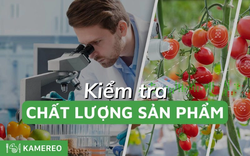 quy trình kiểm định chất lượng ga khách sạn Accor