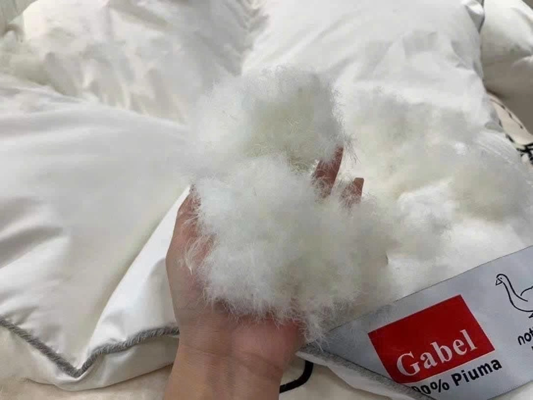 Ruột chăn lông vũ và microfiber cao cấp