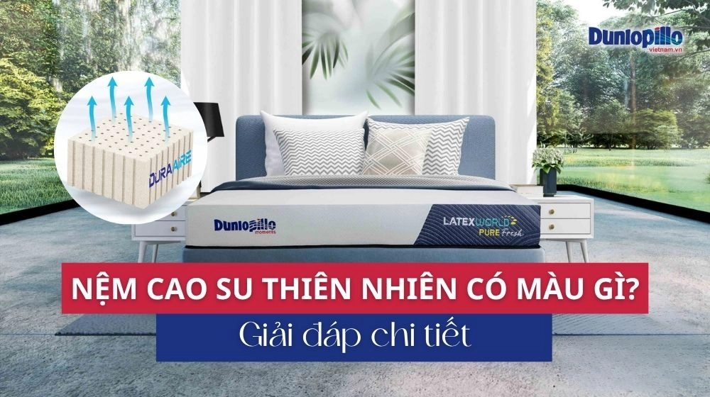 sinh viên hỏi đáp về nệm Everon và Ru9