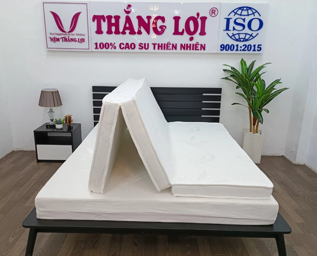Sơ đồ các lớp nệm Thắng Lợi chú thích rõ ràng