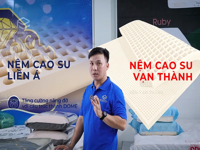so sánh chất liệu nệm tại Vạn Thành Lợi
