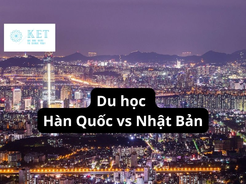 so sánh Hàn Việt Hải với thương hiệu nệm lớn