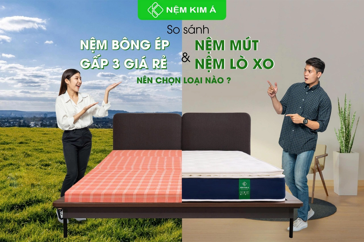 so sánh nệm bông ép với foam và lò xo