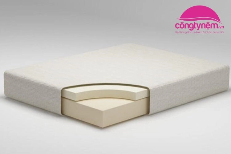 so sánh nệm foam và nệm bông ép đặt cạnh