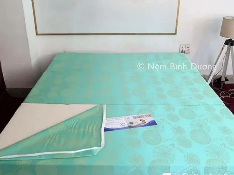 so sánh nệm Thắng Lợi với gòn ép và lò xo