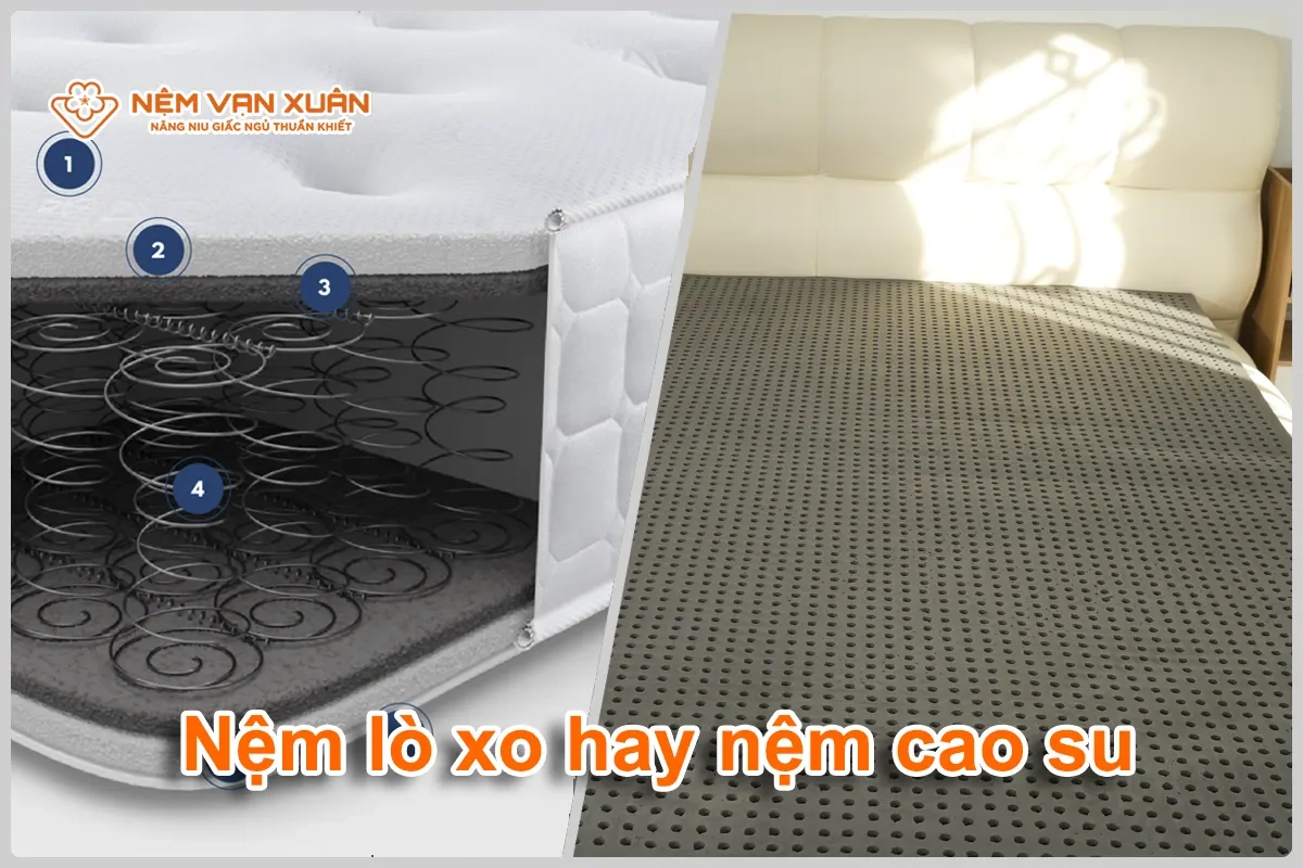 so sánh nệm Trung Sơn với cao su thiên nhiên và lò xo