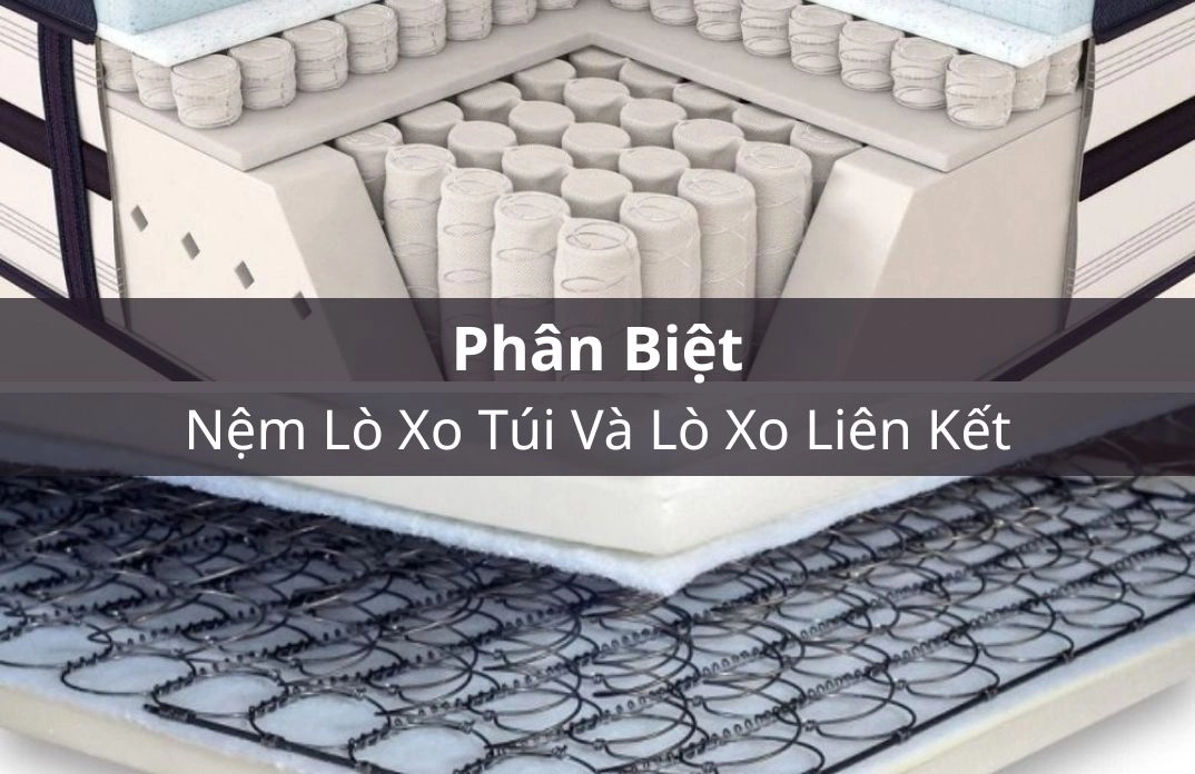 So sánh Phoenix với lò xo túi và Bonnell Vạn Thành