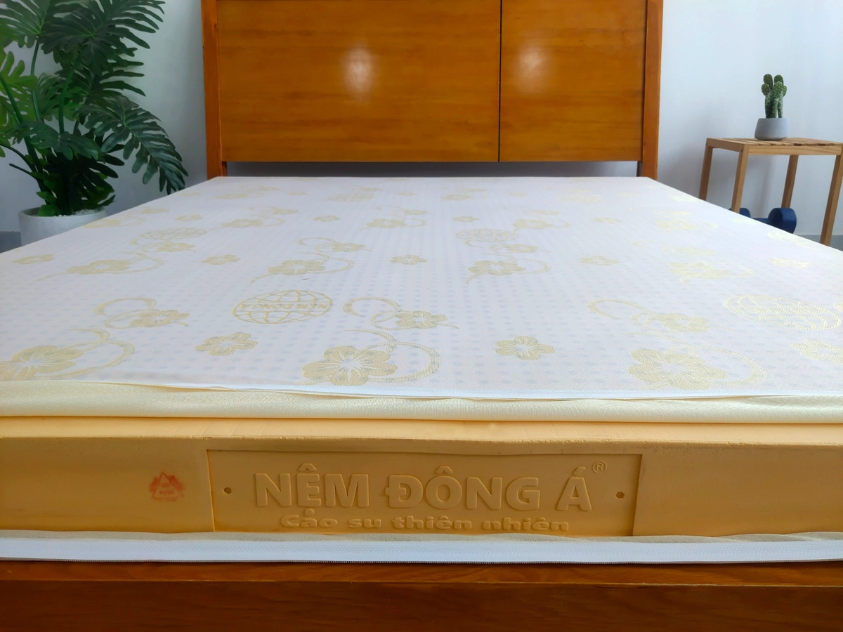 thử nệm cao su thiên nhiên tại showroom uy tín