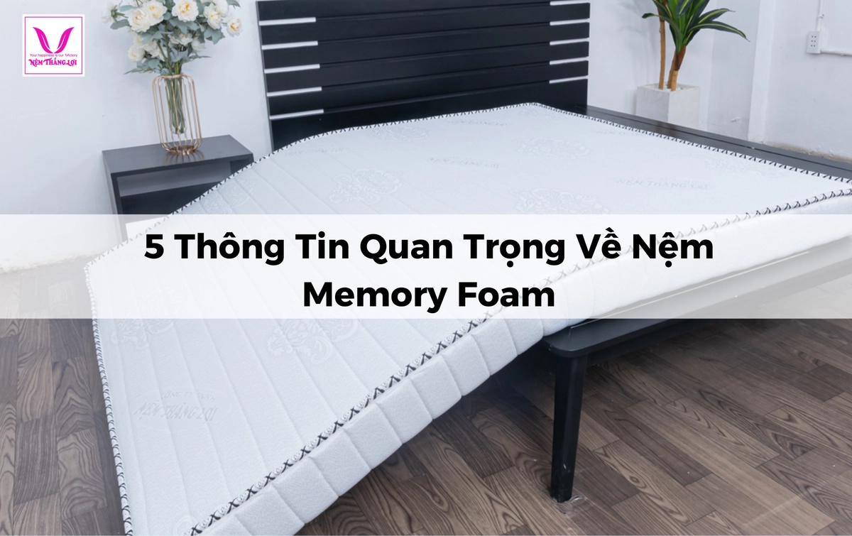 tổng hợp đánh giá thực tế về Nệm Thắng Lợi