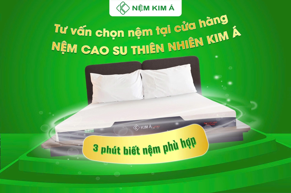 tư vấn cá nhân hóa chọn nệm bông ép cuộn nhập khẩu