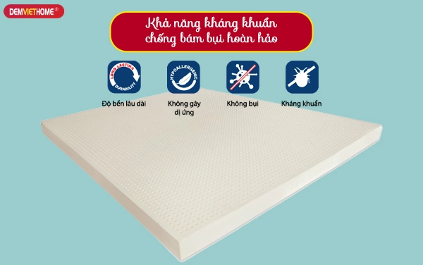 Tư vấn chọn đệm Liên Á bông ép tại showroom