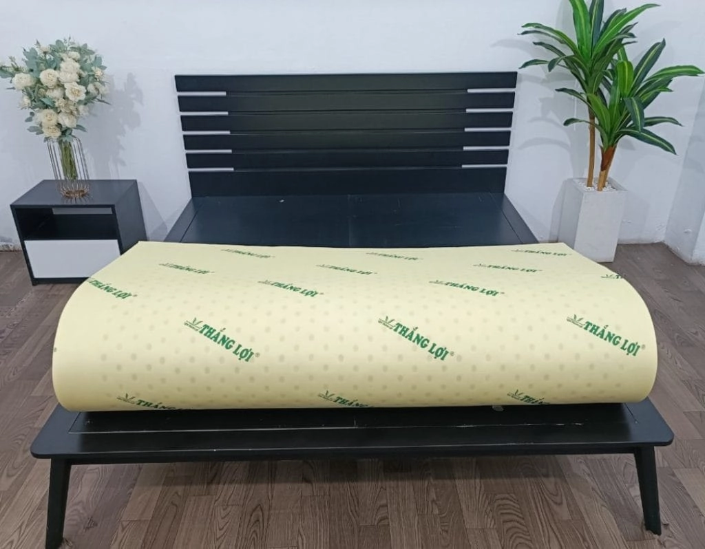 Tư vấn chọn nệm cao su non American gấp 3 tại cửa hàng