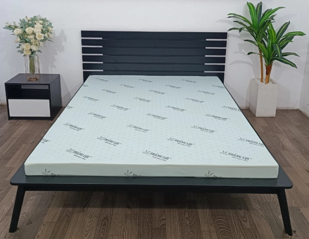 tư vấn chọn nệm Thắng Lợi theo thể trạng