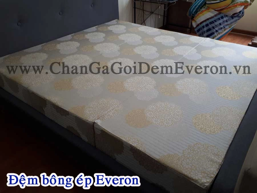 tư vấn độ dày đệm bông ép Forever cho từng người