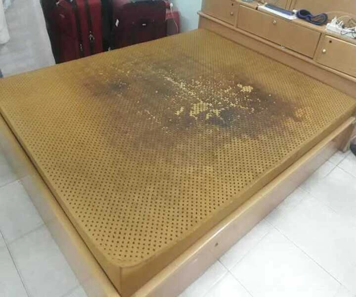 vệ sinh áo nệm cao su non Kim Cương bằng máy hút