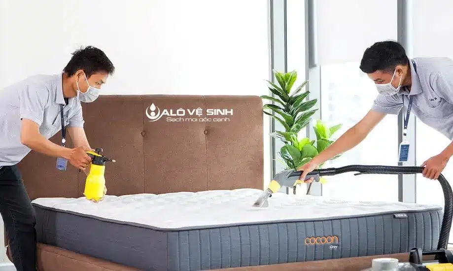 vệ sinh nệm bông ép bằng máy hút bụi