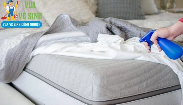 vệ sinh nệm cao su và nệm lò xo bằng máy hút bụi